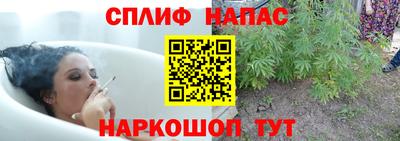 тгк Можга