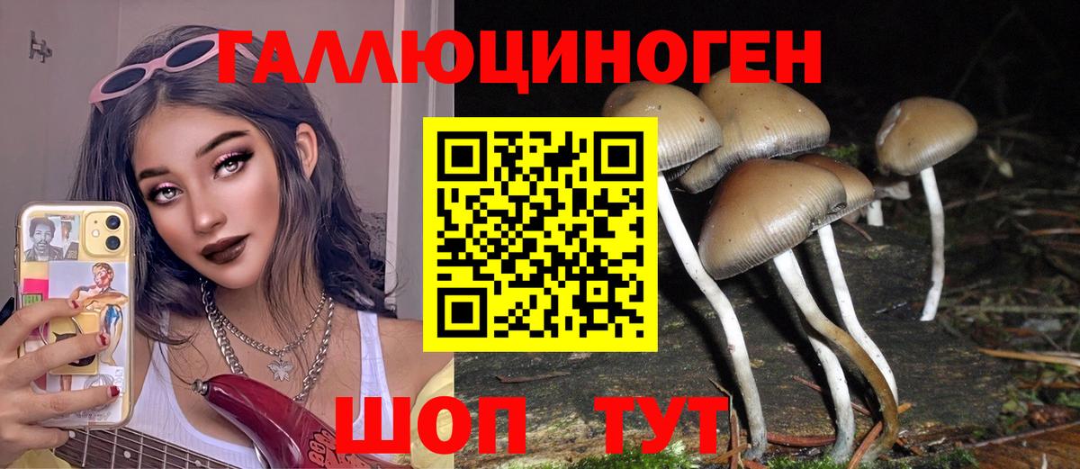 закладки  Галлюциногенные грибы MAGIC MUSHROOMS  Вход с VPN  Торжок 